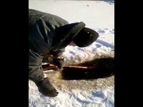 Видео: Ловля мормыша зимой.