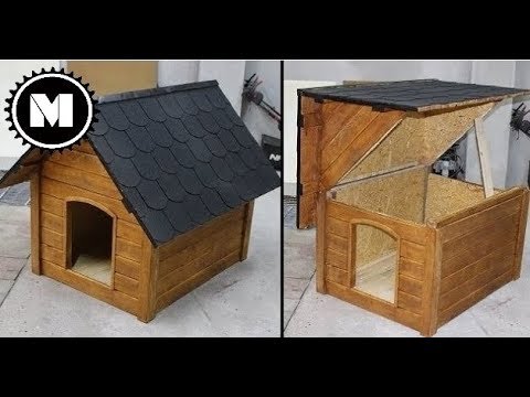 Видео: собачья будка