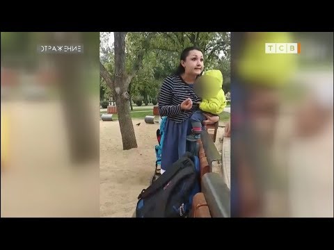 Видео: «Стучать» или молчать?