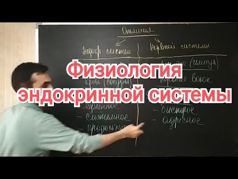 Видео: Физиология эндокринной системы. Общая характеристика.. Классификация гормонов.