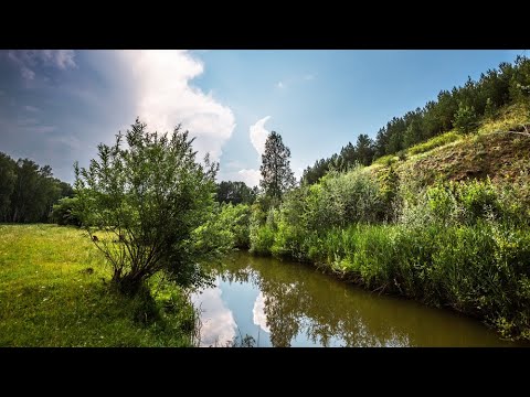 Видео: Река Мильтюш близ деревни Горёвка - места силы. Искитимский район Новосибирской области, Сибирь