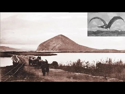 Видео: В пирамиде Приморья обитал птеродактиль до 1968 года.