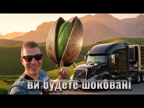 Видео: ВПЕРШЕ на  ФІСТАШКОВІЙ на фермі , ПЕРЕВІРКИ на дорогах, чарівна КАЛІФОРНІЯ та озеро МІЧИГАН