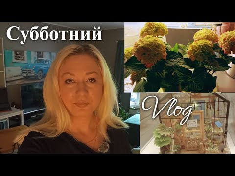 Видео: Vlog. Один день из жизни. Особенности езды по #осло. Детские дни рождения в Норвегии