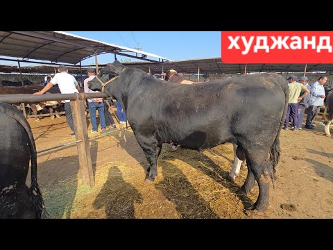 Видео: МОЛБОЗОРИ ХУЧАНД ХУДЖАНД ТОЖИКИСТОН. 19 октября 2025 г.