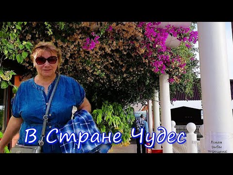 Видео: Абхазия - страна души. Невероятное возможно!