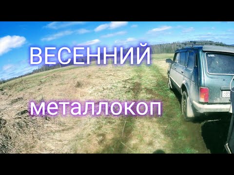 Видео: Весенний металлокоп