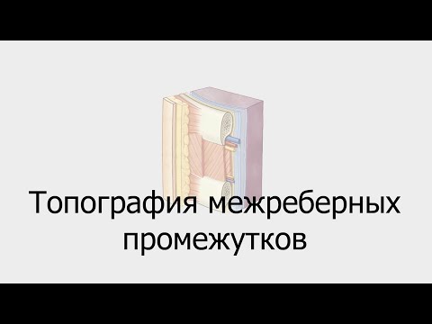 Видео: Топография межреберных промежутков