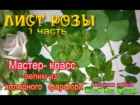 Видео: МК лист розы из холодного фарфора 1 часть.