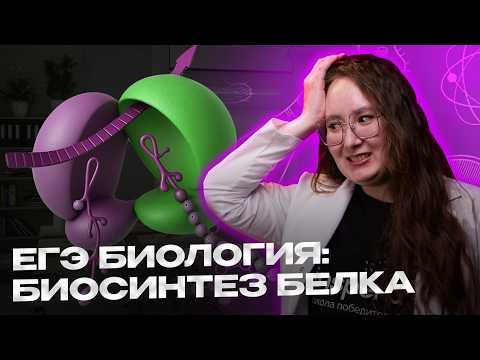 Видео: Биосинтез белка для ЕГЭ по биологии