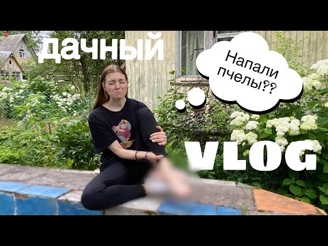 Видео: VLOG: Мой день на даче// ИСКУСАЛИ ПЧЕЛЫ