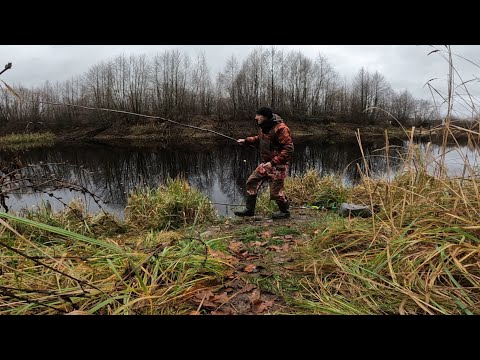 Видео: РЫБАЛКА НА ПОПЛАВОЧНУЮ УДОЧКУ 1 НОЯБРЯ