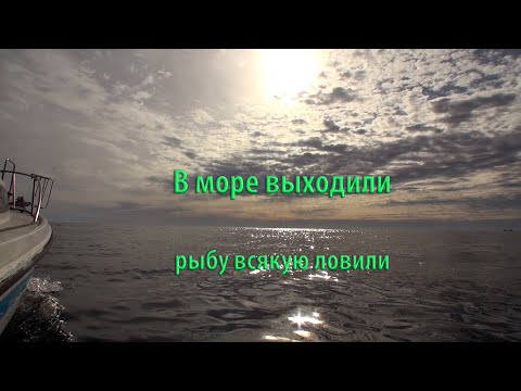 Видео: В МОРЕ ВЫХОДИЛИ РЫБУ ВСЯКУЮ ЛОВИЛИ