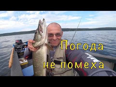 Видео: ОКУНЬ, СУДАК, ЩУКА. Рыбалка на сломе погоды.