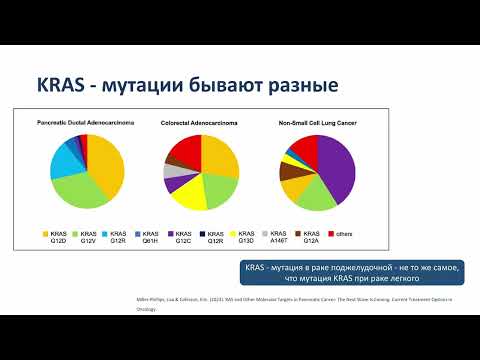 Видео: Современные подходы к терапии рака поджелудочной железы