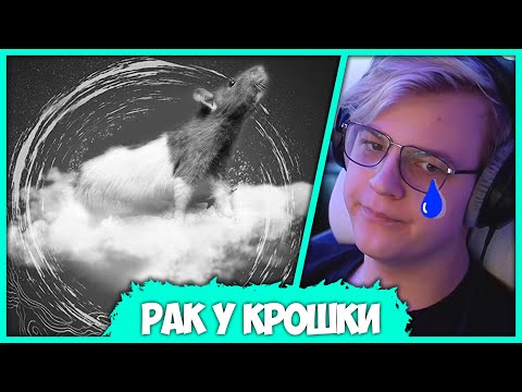 Видео: Крыса Пятёрки заболела Раком - Можно ли Спасти Крошку? (Нарезка стрима ФУГА TV)