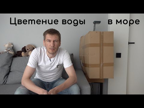 Видео: Цветение воды в морском аквариуме