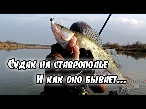 Видео: Рыбалка на судака и как оно бывает...