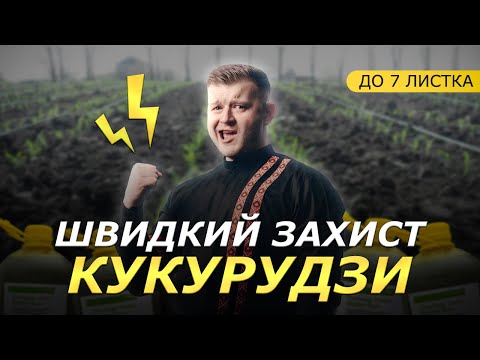 Видео: НА КУКУРУДЗУ НАЙКРАЩИЙ ГЕРБІЦИД🌽 СТЕЛЛАР ПЛЮС | КОНТРОЛЮЄ ВСІ БУР'ЯНИ ЗА ОДИН ПРОХІД