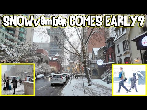 Видео: Ранний первый снег? Прогулка по центру Торонто в преддверии зимы 9 ноября 2025 года