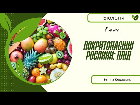 Видео: Урок 25. Покритонасінні рослини: плід. 7 клас. НУШ