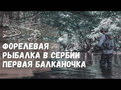 Видео: РЫБАЛКА НА УЛЬТРАЛАЙТ В СЕРБИИ. Форелевая рыбалка на ультралайт в Сербии. Поймал первую балканочку!