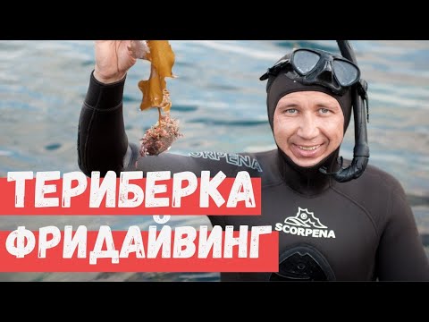 Видео: Териберка рыбалка, что поймали?  Мурманская область. Фридайвинг Владимир Воронович
