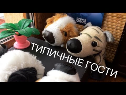 Видео: Типичные ГОСТИ / The Dog Collection