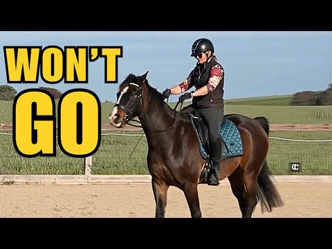 Видео: ХВАТИТ тратить время! СЕКРЕТ, как заставить вашу лошадь двигаться вперёд