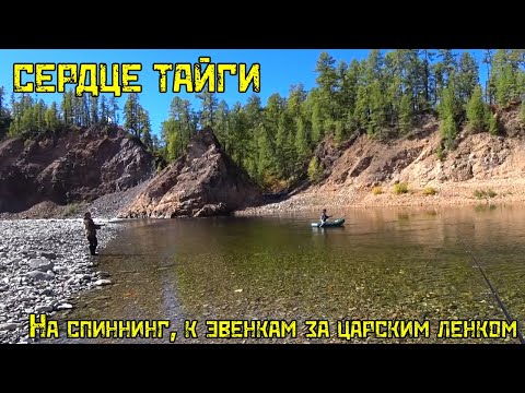 Видео: СЕРДЦЕ ТАЙГИ: На спиннинг К эвенкам за царским ленком!
