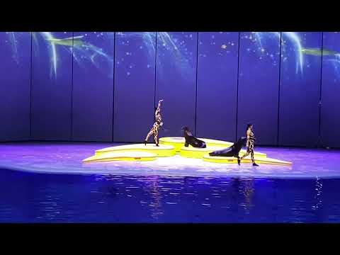 Видео: Море снов