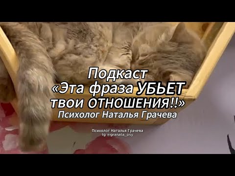Видео: Эта фраза УБЬЕТ ОТНОШЕНИЯ! | 🧡 Наталья Грачева