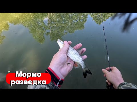 Видео: 6 ВИДОВ РЫБ ЗА РЫБАЛКУ! МОРМЫШИНГ В НОВЫХ МЕСТАХ! РАЗВЕДКА НА РЕКЕ! РЫБАЛКА 2024