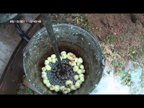 Видео: Картофелечистка из того что было