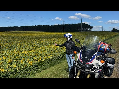 Видео: На Белом Озере с палаткой .Africa Twin.