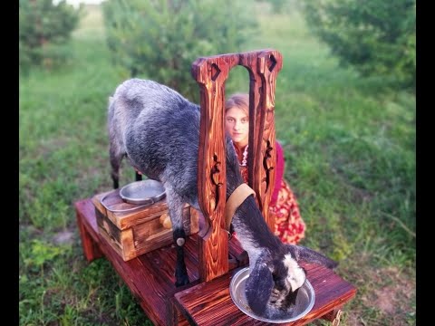 Видео: Размеры доильного станка для коз и по немногу о том ..о сём.