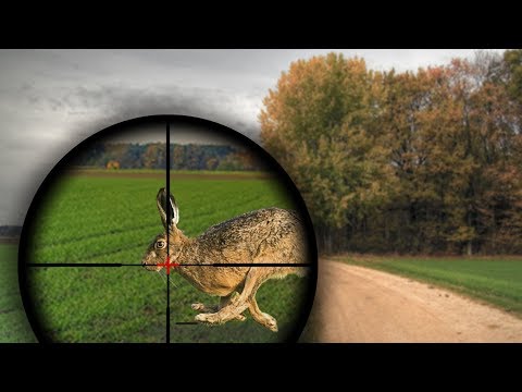 Видео: Топ 100 ЭПИЧЕСКИЕ моменты ОХОТА НА ЗАЙЦА \ BEST HUNTING KILL SHOTS