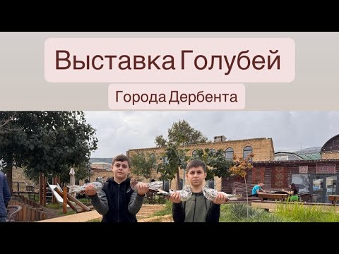 Видео: Выставка Голубей 26.10.25