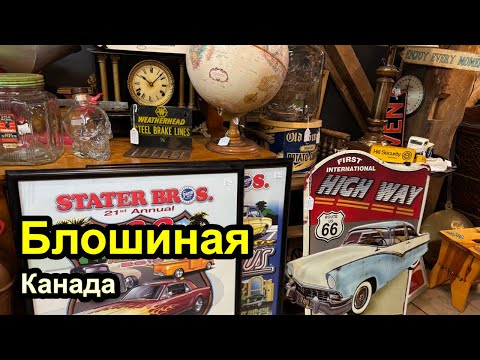 Видео: Блошиная Канада