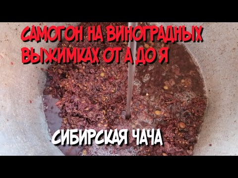 Видео: Самогон из виноградных выжимок от А до Я 6000 подписчиков на канале!