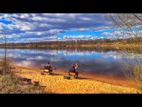 Видео: Ловля Весной с Берега. Разведка Нового Места на р. Волга.