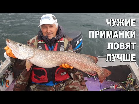 Видео: Трофей на чужую приманку. Шидерты. Мусор на берегах. Отравление. Крупный окунь.