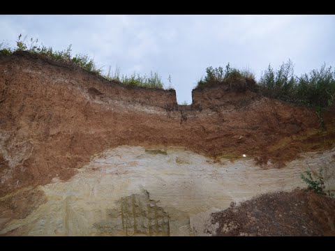 Видео: Почвы речных пойм