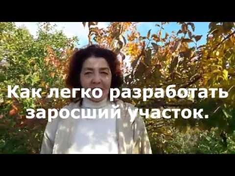 Видео: Как легко разработать заросший участок