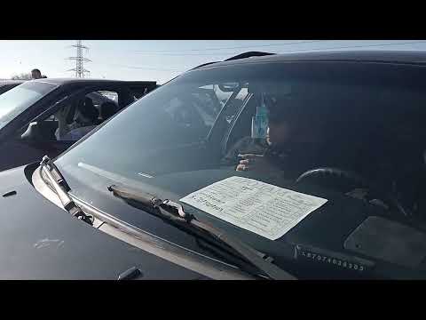 Видео: 22 декабря 2024 г.