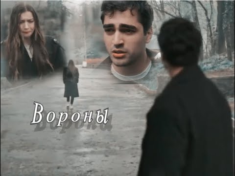 Видео: Seyran & Ferit ✗ Вороны