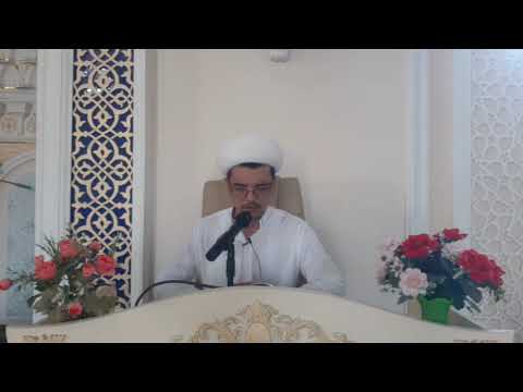 Видео: Шайҳ Нажмиддин Кубро ватанга садоқат.