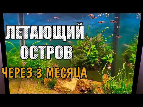 Видео: ЛЕТАЮЩИЙ ОСТРОВ ЧЕРЕЗ 3 МЕСЯЦА . AQUASCAPE FLYING ISLAND