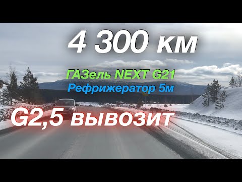 Видео: 4300 км за 8 дней ГАЗель NEXT G2,5 Рефрижератор 5м