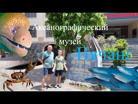 Видео: Тысячи видов морских обитателей. Живые акулы в открытом бассейне.